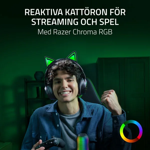 Ausinės Razer RZ04-05170300-R3M1 Juoda