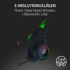 Ausinės Razer RZ04-05170300-R3M1 Juoda