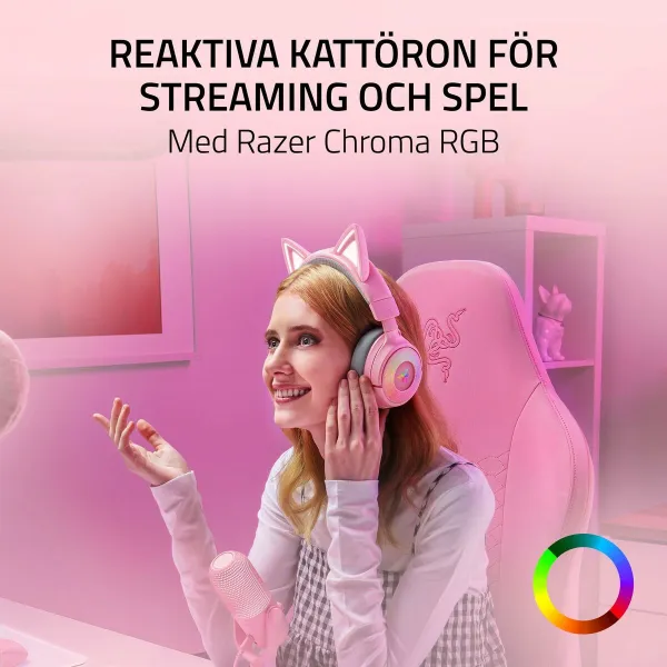 Ausinės Razer RZ04-05170200-R3M1