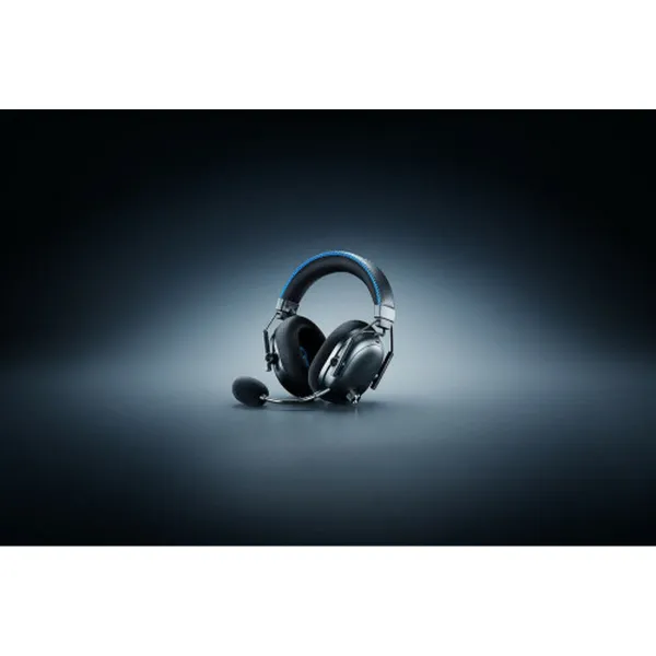 Ausinės Razer RZ04-05400500-R3G1 Juoda