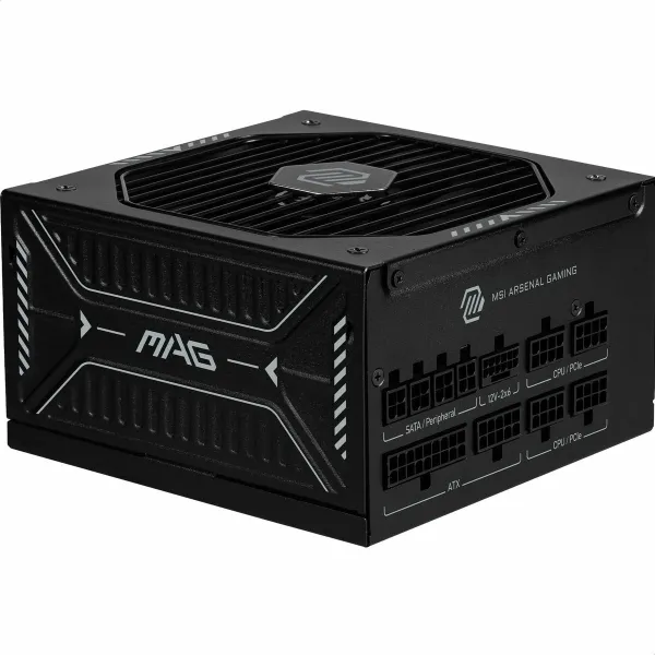 Maitinimo blokas MSI 306-7ZP1B21-CE0 1000 W 80 Plus Gold ATX