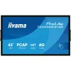 Videowall Monitorius Iiyama T4329AS-B1AG 4K Ultra HD 43"