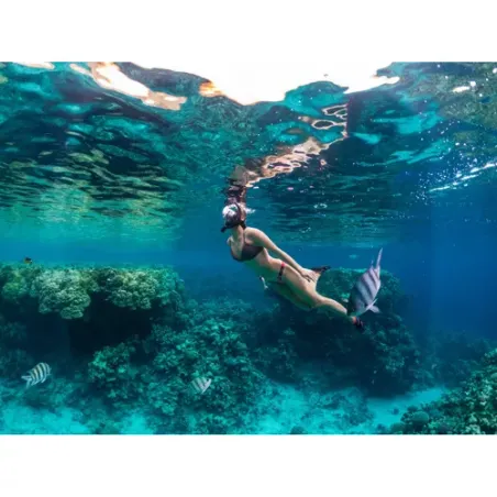 Pilnas sejas snorkelēšanas maska S/M izmērs, detaļa 23469