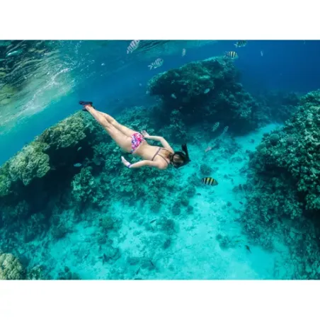Pilnas sejas snorkelēšanas maska S/M izmērs, detaļa 23469