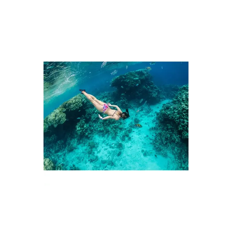Full face snorkeling mask L/XL part 23462