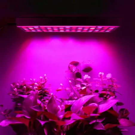 225 LED taimekasvulamp/paneel 23525