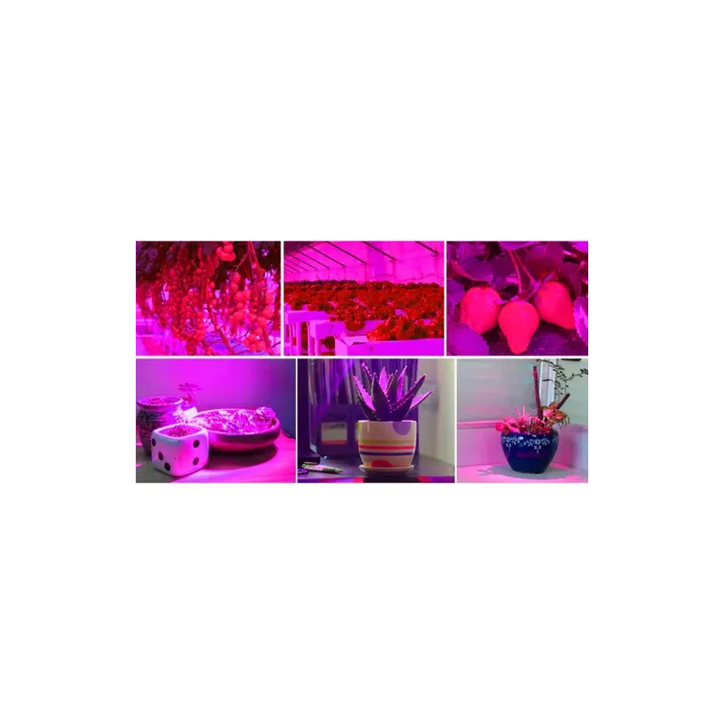 225 LED plant growth lamp/panel 23525