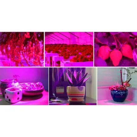 225 LED taimekasvulamp/paneel 23525