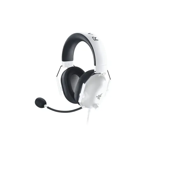 Ausinės Razer RZ04-03241700-R3M1