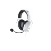 Ausinės Razer RZ04-03241700-R3M1