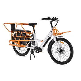 Electric Scooter Youin BK6100