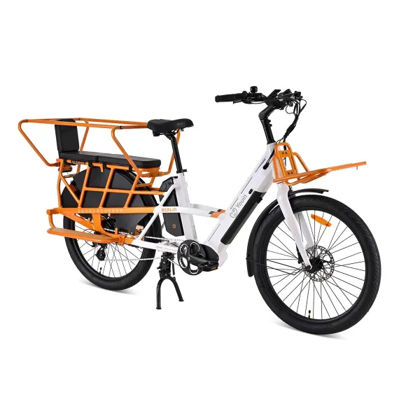 Electric Scooter Youin BK6100