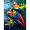 DP0029 MĀKSLINIECISKĀ KOMPLEKTS