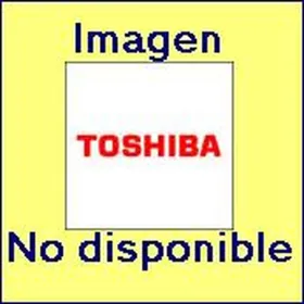 Dažiklis Toshiba