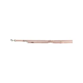 Audiomuunnin GEMBIRD DSC-OPT-RCA-001