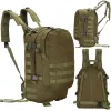 Reppu Springos CS0080