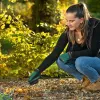 Rake for Collecting Leaves BOSCH Grey Silver