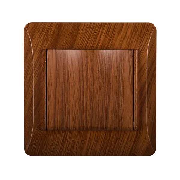 EL0629 PANEL WITH COVER PLATE FOR GERMAN TYPE SOCKET