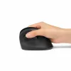 Ergonomiska optiskā pele Kensington K75501EU Melns 1600 dpi