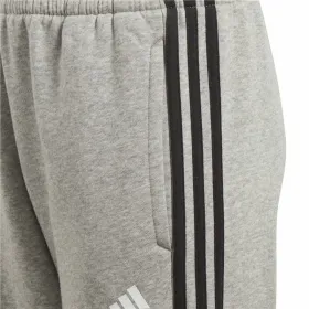 Monihihnasandaalit Adidas Harmaa