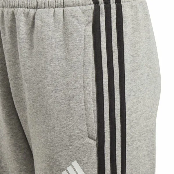 Monihihnasandaalit Adidas Harmaa