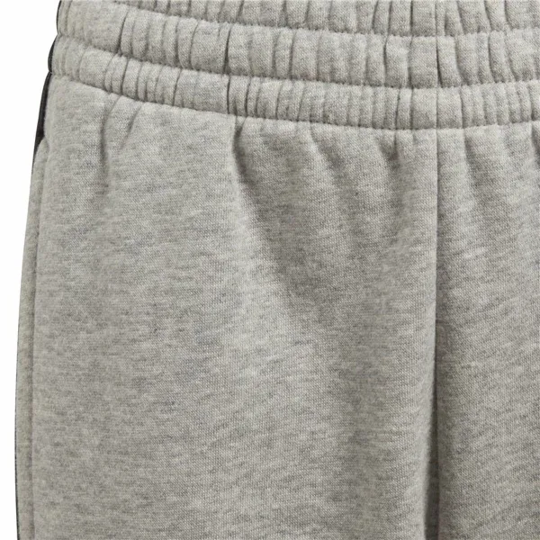 Monihihnasandaalit Adidas Harmaa