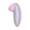 Vibrators Satisfyer Ceriņš