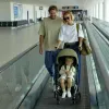 Bērnu ratiņi Cybex Pelēks
