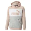 Džemperis Meitenēm ar Kapuci Puma Essentials+
