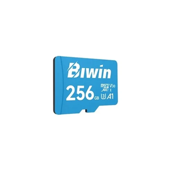Карта памяти Micro SDXC Biwin MS100 256 GB