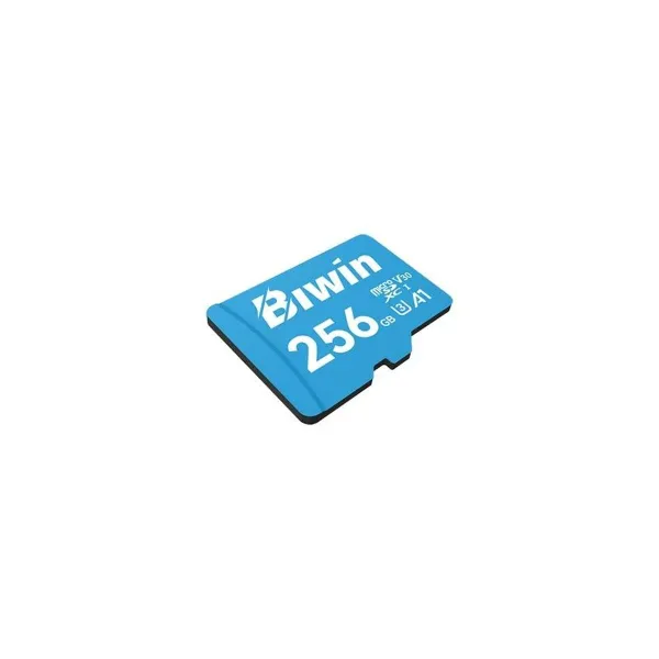 Карта памяти Micro SDXC Biwin MS100 256 GB