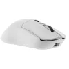 Juhtmevaba Hiir CoolBox COO-MOU-W03-W Valge 10000 dpi