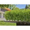 Tilgatoru Gardena 13503-20 25 m