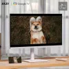 Monitorius žaidimams MSI 9S6-3PB19H-261 4K Ultra HD 27"