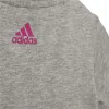 Vaatesetti Adidas Essentials Lineage Tumman harmaa