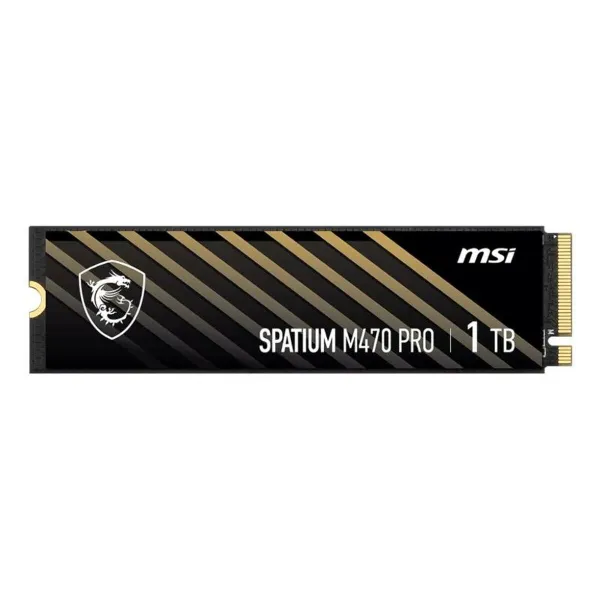 Kietasis diskas MSI S78-440L0J0-P83 1 TB SSD