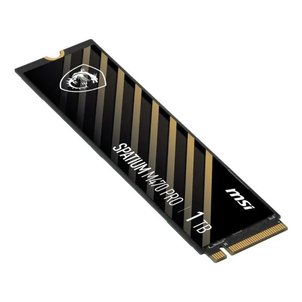 Kietasis diskas MSI S78-440L0J0-P83 1 TB SSD
