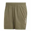 Urheilushortsit Adidas Terrex Multi Vihreä