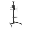 Ausinės TooQ FS1184M-B 70" 80 kg