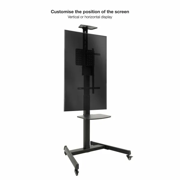 Ausinės TooQ FS1184M-B 70" 80 kg