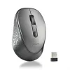 Pele NGS DEWGRAY Pelēks 1600 dpi (1 gb.)