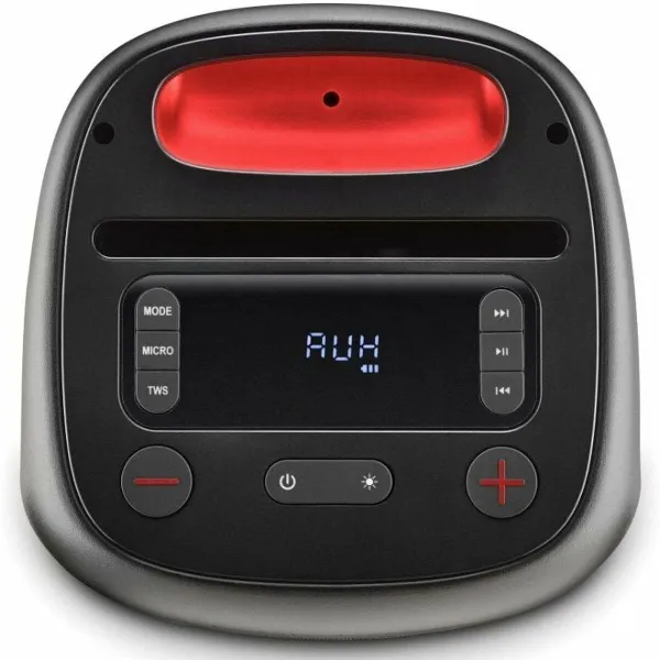 Nešiojamos Bluetooth garso kolonėlės NGS WILDSWAGGO Juoda