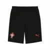 Urheilushortsit Puma Fpf Ftblnrgy