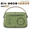 Tranzistorinis radijas Ledwood ALMA GREEN Žalia 30 W