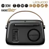 Tranzistorinis radijas Ledwood ALMA BLK Juoda 30 W