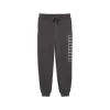Pitkät urheiluhousut Puma Maximal Metallic Swe Harmaa Miehet