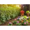 Drip watering system Gardena