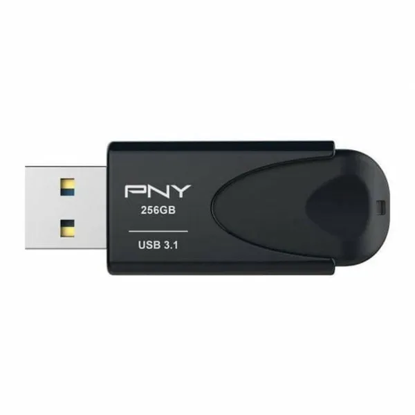 RAM atmintis PNY Attache 4 Juoda 256 GB