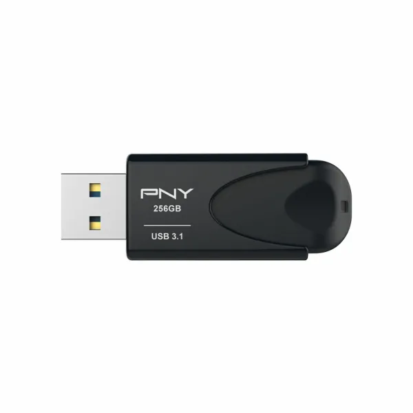 RAM atmintis PNY Attache 4 Juoda 256 GB