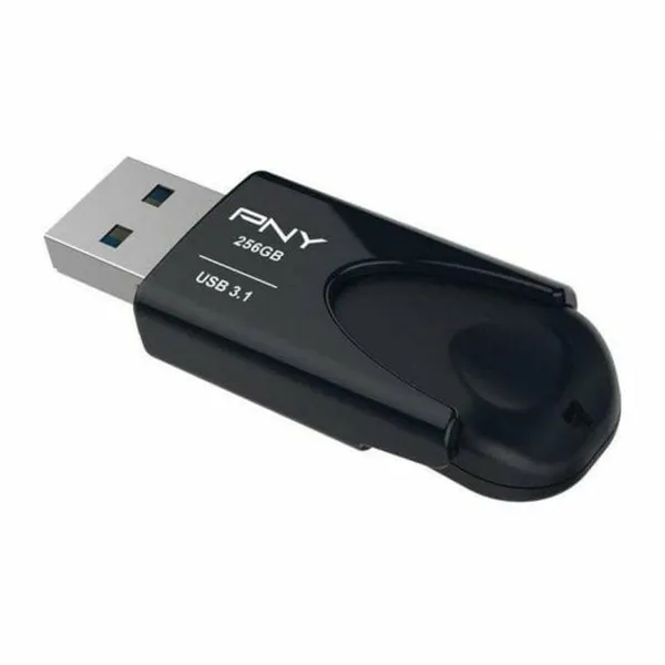 RAM atmintis PNY Attache 4 Juoda 256 GB